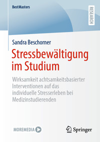 Stressbewältigung im Studium - Sandra Beschorner - E-Book