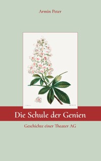 Die Schule der Genien - Armin Peter - E-Book
