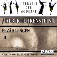 Erzählungen 11 - Albert Ehrenstein - Hörbuch
