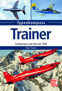 Trainer - Heiko Thiesler - E-Book