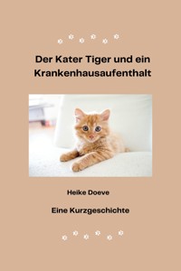 Der Kater Tiger und ein Krankenhausaufenthalt - Heike Doeve - E-Book