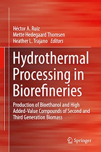 Hydrothermal Processing in Biorefineries -  - E-Book