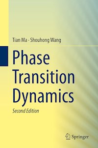 Phase Transition Dynamics - Tian Ma - E-Book