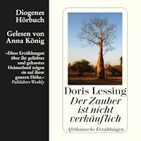Der Zauber ist nicht verkäuflich - Doris Lessing - Hörbuch