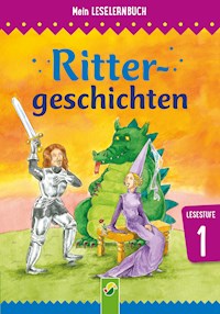 Rittergeschichten - Carola von Kessel - E-Book