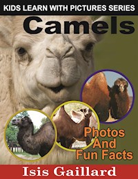 Camels: Photos and Fun Facts for Kids - Isis Gaillard - E-Book
