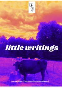 little writings - Jan Wolter - E-Book