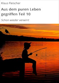 Aus dem puren Leben gegriffen Teil 10 - Klaus Fleischer - E-Book