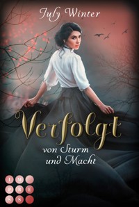 Verfolgt von Sturm und Macht (Sturmwanderer 1) - July Winter - E-Book