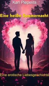 Eine heiße Sommernacht - Karl Plepelits - E-Book