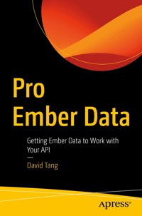 Pro Ember Data - David Tang - E-Book