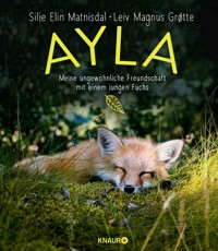 Ayla - meine ungewöhnliche Freundschaft mit einem jungen Fuchs - Silje Elin Matnisdal - E-Book