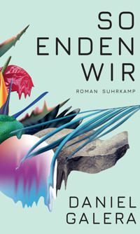 So enden wir - Daniel Galera - E-Book