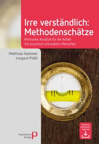 Irre Verständlich: Methodenschätze - Matthias Hammer - E-Book