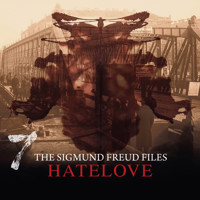 A Historical Psycho Thriller Series - The Sigmund Freud Files, Episode 7: Hatelove - Heiko Martens - Hörbuch