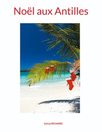 Noël aux Antilles - Sylvia Richard - E-Book