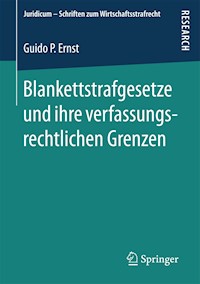 Blankettstrafgesetze und ihre verfassungsrechtlichen Grenzen - Guido P. Ernst - E-Book