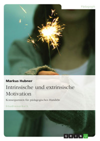Intrinsische und extrinsische Motivation. Konsequenzen für pädagogisches Handeln - Markus Hubner - E-Book