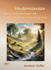 Hindernisreisen - Norbert Hufler - E-Book