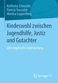 Kindeswohl zwischen Jugendhilfe, Justiz und Gutachter - Karlheinz Schneider - E-Book