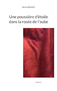 Une poussière d'étoile dans la rosée de l'aube - Michel Brignot - E-Book