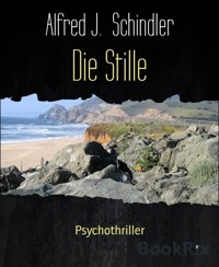 Die Stille - Alfred J. Schindler - E-Book