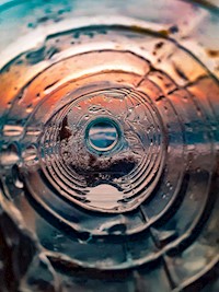 Plastik in unserer Umwelt - Verena Kraus - E-Book