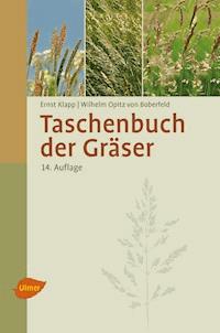 Taschenbuch der Gräser - Ernst Klapp - E-Book