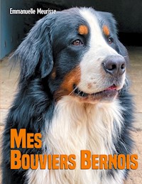 Mes Bouviers Bernois - Emmanuelle Meurisse - E-Book