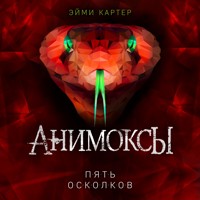 Пять Осколков - Эйми Картер - Hörbuch