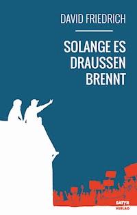Solange es draußen brennt - David Friedrich - E-Book