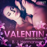 Valentin: Erotische Novelle - B. J. Hermansson - Hörbuch