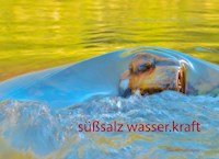 süßsalz wasser-kraft - Walter Tockner - E-Book