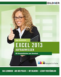 Excel 2013 Aufbauwissen - Inge Baumeister - E-Book