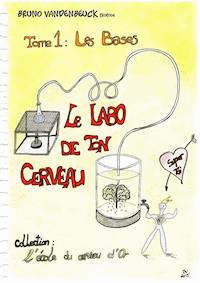 Le Labo de ton Cerveau - Bruno Vandenbeuck - E-Book