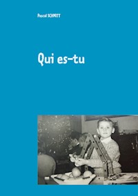 Qui es-tu - Pascal Schmitt - E-Book