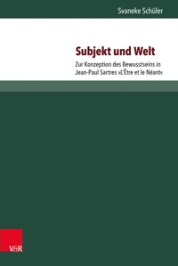 Subjekt und Welt - Svaneke Schüler - E-Book