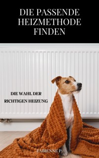 Die passende Heizmethode finden - Fabienne P. - E-Book