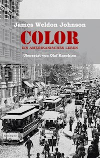 Color - Ein amerikanisches Leben - James Weldon Johnson - E-Book