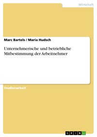 Unternehmerische und betriebliche Mitbestimmung der Arbeitnehmer - Marc Bartels - E-Book