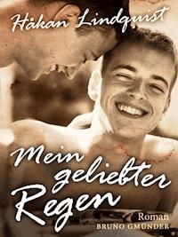 Mein geliebter Regen - Hakan Lindquist - E-Book