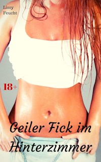 Geiler Fick im Hinterzimmer - Lissy Feucht - E-Book