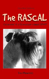 The Rascal - Dorothee DeBerry - E-Book