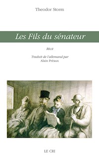 Les fils du sénateur - Theodor Storm - E-Book