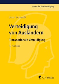 Verteidigung von Ausländern - Jens Schmidt - E-Book