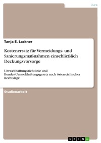 Kostenersatz für Vermeidungs- und Sanierungsmaßnahmen einschließlich Deckungsvorsorge - Tanja E. Lackner - E-Book