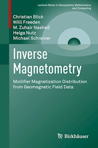 Inverse Magnetometry - Christian Blick - E-Book