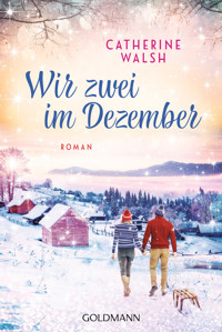 Wir zwei im Dezember - Catherine Walsh - E-Book