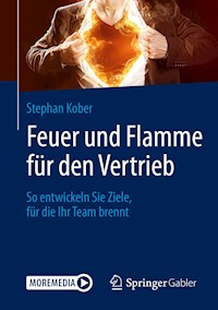 Feuer und Flamme für den Vertrieb - Stephan Kober - E-Book