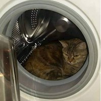 kleiner Gast im Tierparadies - lucy di luna - E-Book